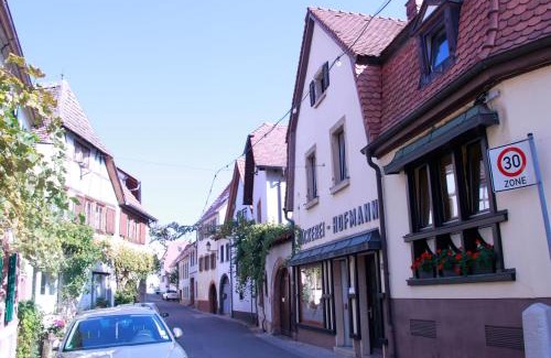 Neustadt-Hambach Apartment | Ferienwohnung „Brot & Wein”