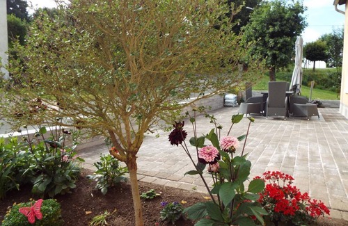 Bolsdorf House | Feriendomizil Vulkaneifel - 6-bed vacation home shower/WC 3 bedrooms