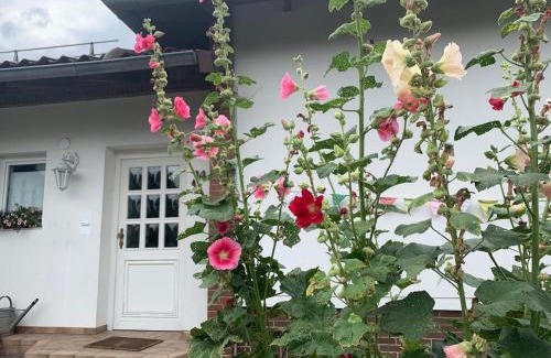 Osterode am Harz House | Ferienhaus Dornröschen