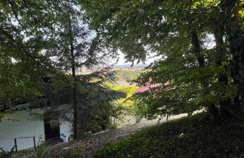Feusdorf House | Ferienhaus Eifelblick