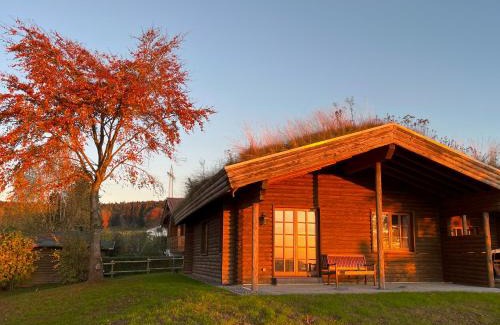 Buchet House | FERIENHAUS FERIENWOHNUNG EIFEL-ARDENNEN BLOCKHAUS Viebighaus