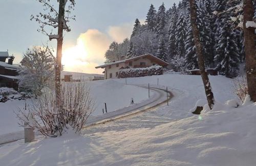 Going am Wilden Kaiser Apartment | Ferienhaus Hansl