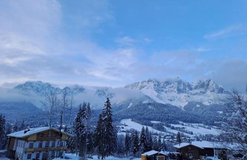 Going am Wilden Kaiser Apartment | Ferienhaus Hansl