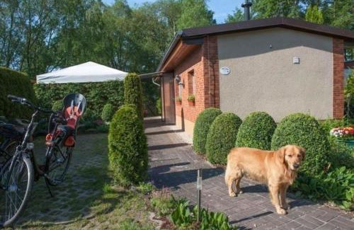 Markische Heide House | Ferienhaus In Alt Schadow Mit Grill Und Terrasse