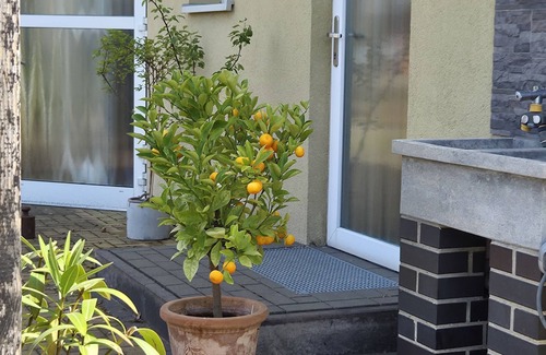 Heinersbruck House | Ferienhaus Móst in Heinersbrück – Ruhige Auszeit nahe Cottbus & dem Spreewald