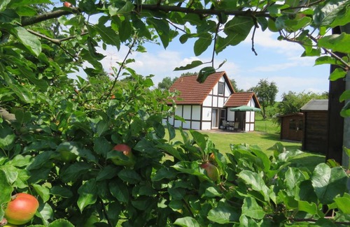 Hollern House | Ferienhaus Scout 60 im Feriendorf