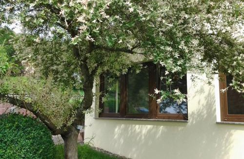 Sangerhausen House | Ferienhaus Waldblick