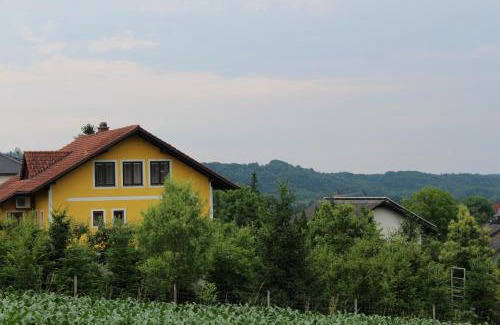 Mettersdorf am Saßbach Apartment | Ferienwohnung Lückl