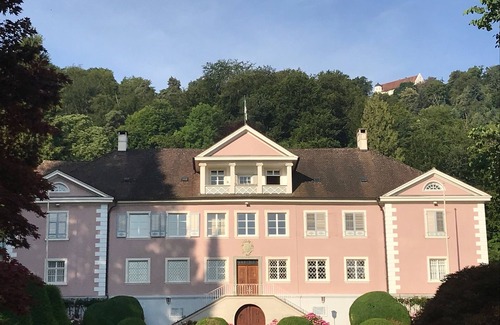 Bodman-Ludwigshafen Apartment | Ferienwohnung mit Seesicht und Balkon, 1 Schlafzimmer, max. 2 Personen