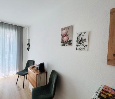 Unterwiehre-Nord Apartment | Ferienwohnung Bächle, sehr zentral