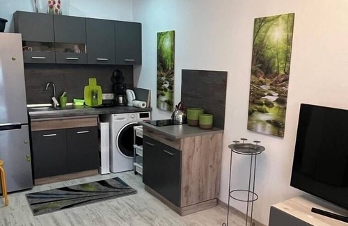 Sfantu Gheorghe Apartment | Ferienwohnung/app. für 2 Gäste mit 26m² in Sfântu Gheorghe