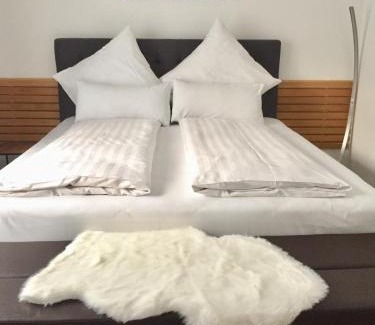 Friedrichshafen Apartment | Ferienwohnung am Bodensee- zentrale Lage, free parking and wifi, 109 m2, privater Garten, 7 Gäste, 2x Kingsize Boxspringbett, familienfreundlich