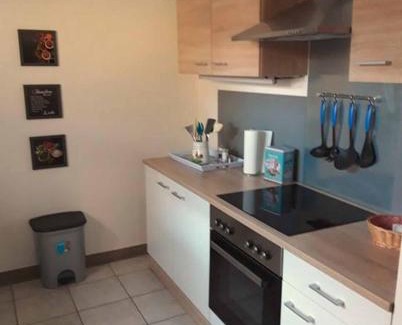 Bad Pyrmont Apartment | Ferienwohnung am Ginkgo Baum