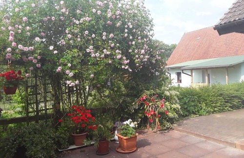 Muritz Apartment | Ferienwohnung am Hufegraben - Vacation home