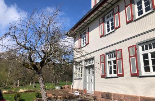 Frutenhof Apartment | Ferienwohnung am Stockerbach