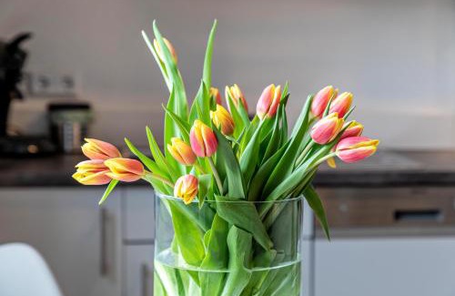 Muensingen Apartment | Ferienwohnung Am Weissgerber