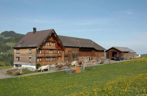 Weissbad Apartment | Ferienwohnung Brülisauer