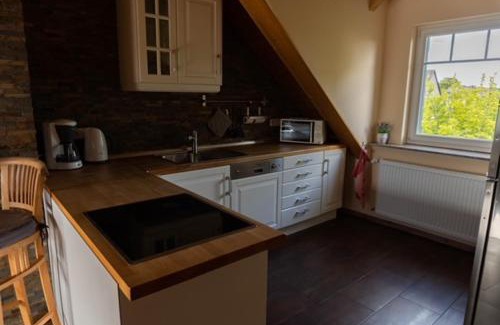 Mainz-Bingen Apartment | Ferienwohnung Brossmann