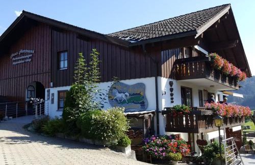Obermaiselstein Apartment | Ferienwohnung Hartmann