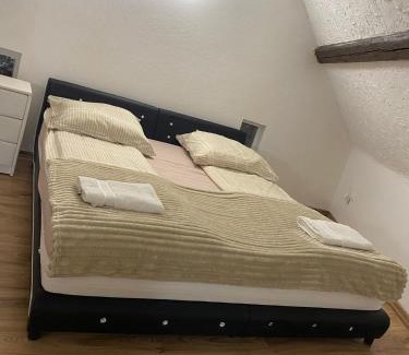 Jagersfreude Apartment | Ferienwohnung-Haus Saarbrücken