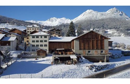 Grisons Apartment | Ferienwohnung Hof Collet