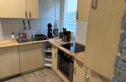 Sulzbach Apartment | Ferienwohnung II 1 OG 5 Min bis Augenklinik