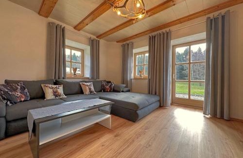 Viechtach Apartment | Ferienwohnung im Bayerischen Wald mit Terrasse