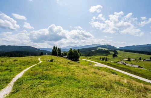 Reit im Winkl Apartment | Ferienwohnung in Unterwirts Almhütte auf der Winklmoosalm