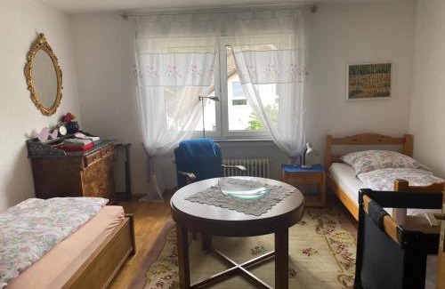 Steinen Apartment | Ferienwohnung Kropp