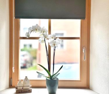 Wettelsheim Apartment | Ferienwohnung Landliebe Wettelsheim
