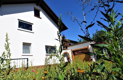 Meinhard Apartment | Ferienwohnung-M8 im schönen Werratal