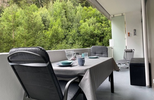 Bad Harzburg Apartment | Ferienwohnung Memory