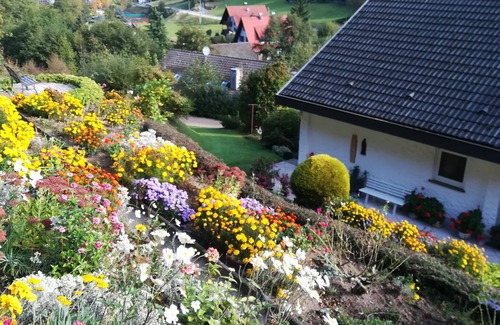 Ottenhofen im Schwarzwald Apartment | Ferienwohnung mit 42 bis 62qm, 1 bis 2 Schlafzimmer für max. 4 Personen