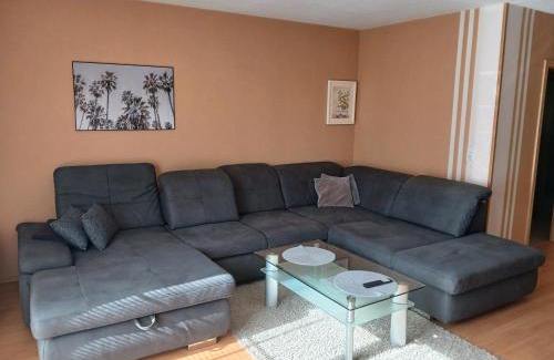 Frankenberg Apartment | Ferienwohnung Röddenau