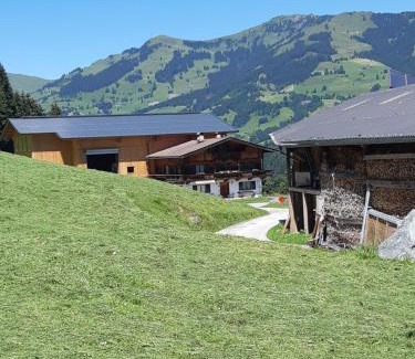 Jochberg House | Ferienwohnung Schatzhof