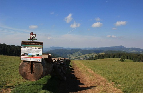 Todtnau Apartment | Ferienwohnung Schwarzwald in der Pension Glöcklehof