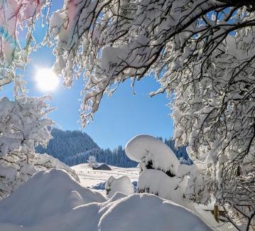 Obermaiselstein Apartment | Ferienwohnung Stuimändle
