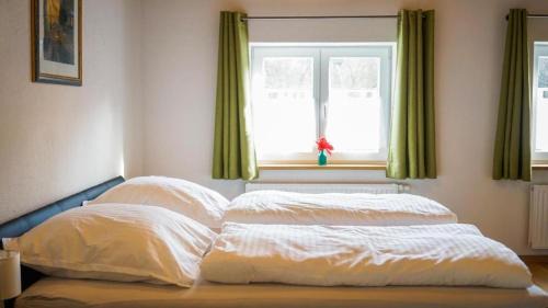 Unterallgau Apartment | Ferienwohnung Trendelmühle Lautrach