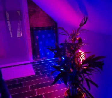 Timmel Apartment | Ferienwohnung Wachsmann