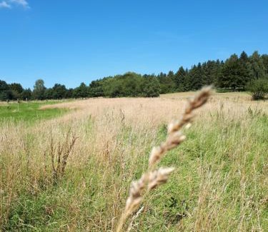 Langelsheim Apartment | Ferienwohnung Weitblick
