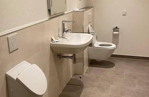 Dreikirchen Apartment | Ferienwohnung Westerwald-domizil - 2-bett Fewo, Dusche, WC, Plus Schlafsofa