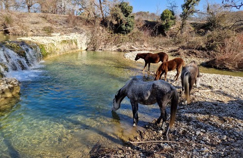 Lurs Other | Ferme Equestre Les Coccinelles, le Gîte Rural