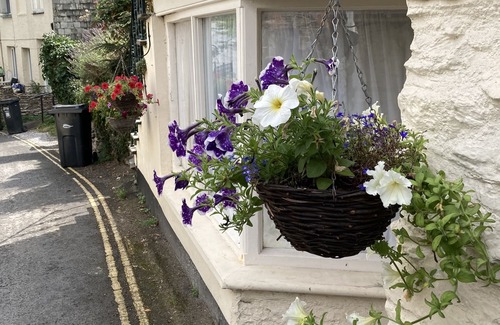 Lynton Apartment | Fernery Lodge - apartment in the centre of Lynton