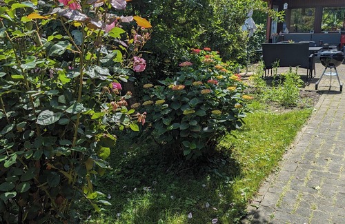 Balge Apartment | Fewo 110 m2 Nähe Weser /Weserradweg, Fahrrad, Schwimmen, Angeln, Dinopark