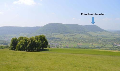 Erkenbrechtsweiler Apartment | Fewo-Alb-Traum