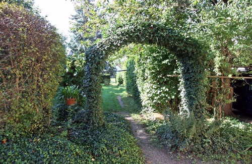 Bad Liebenstein Apartment | FeWo Bad Liebenstein