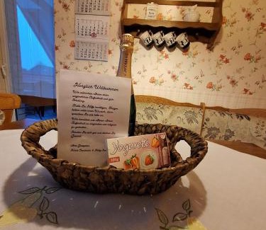 Diepholz Apartment | FEWO Dümmer-Diepholz1