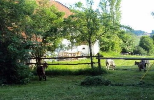 Hebertsfelden Apartment | Fewo mit 2 Schlafzimmern, Kachelofen und Terrasse in Hist. Gebäude
