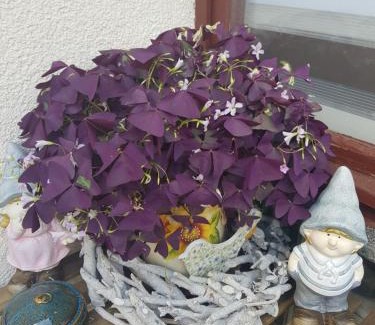 Weimar Apartment | FeWo Weimar