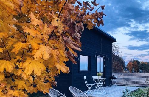 Orebro House | Field View Cabin